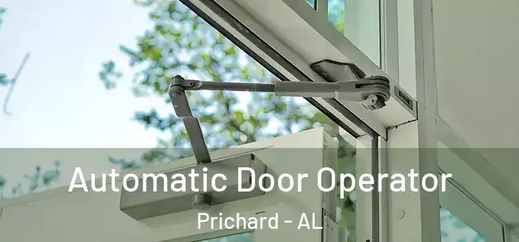 Automatic Door Operator Prichard - AL
